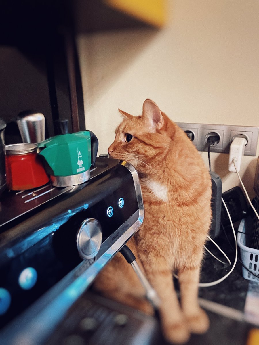 Aleksey Eltsöv tweet media