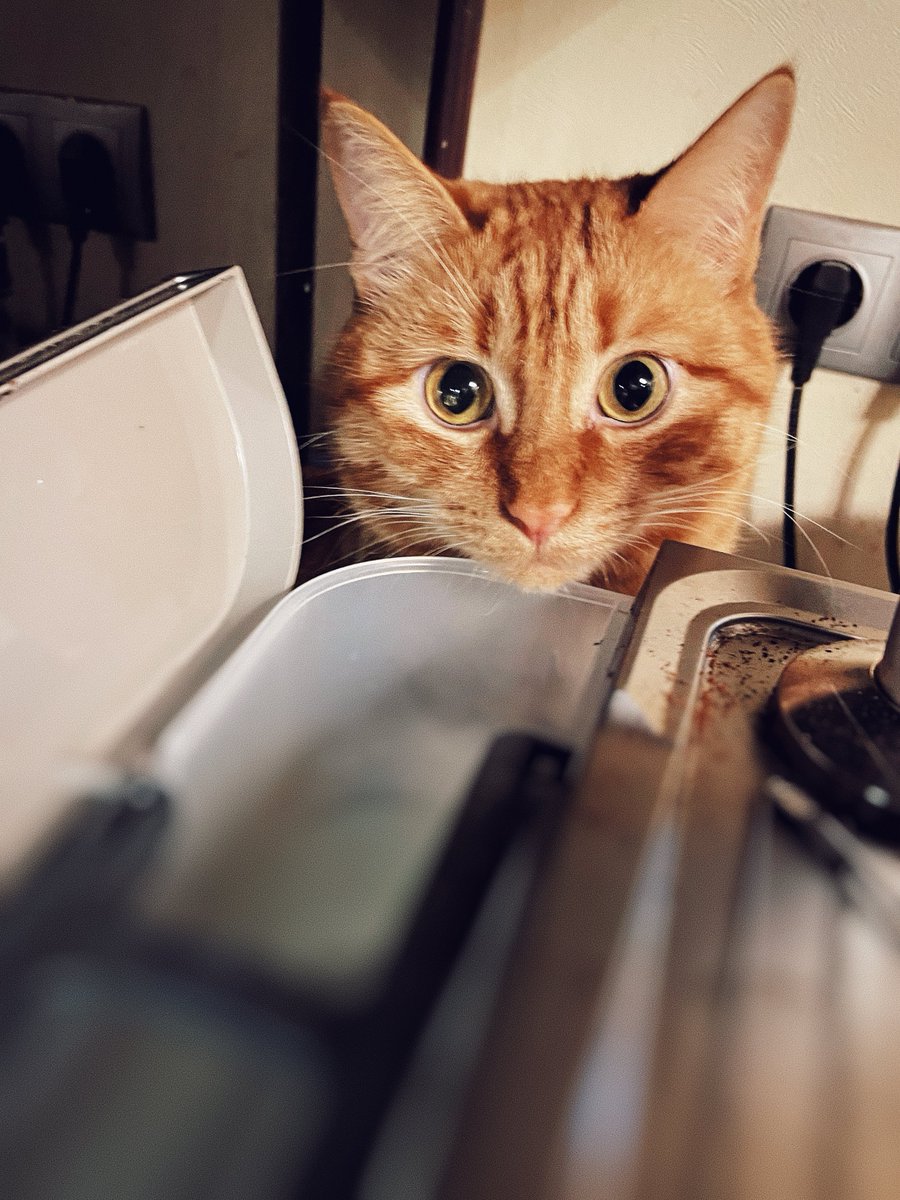 Aleksey Eltsöv tweet media