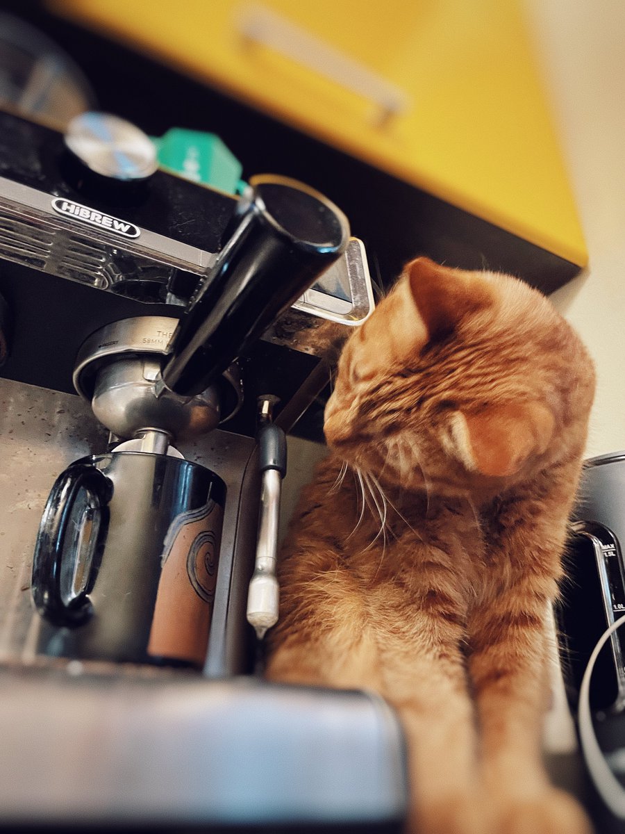 Aleksey Eltsöv tweet media