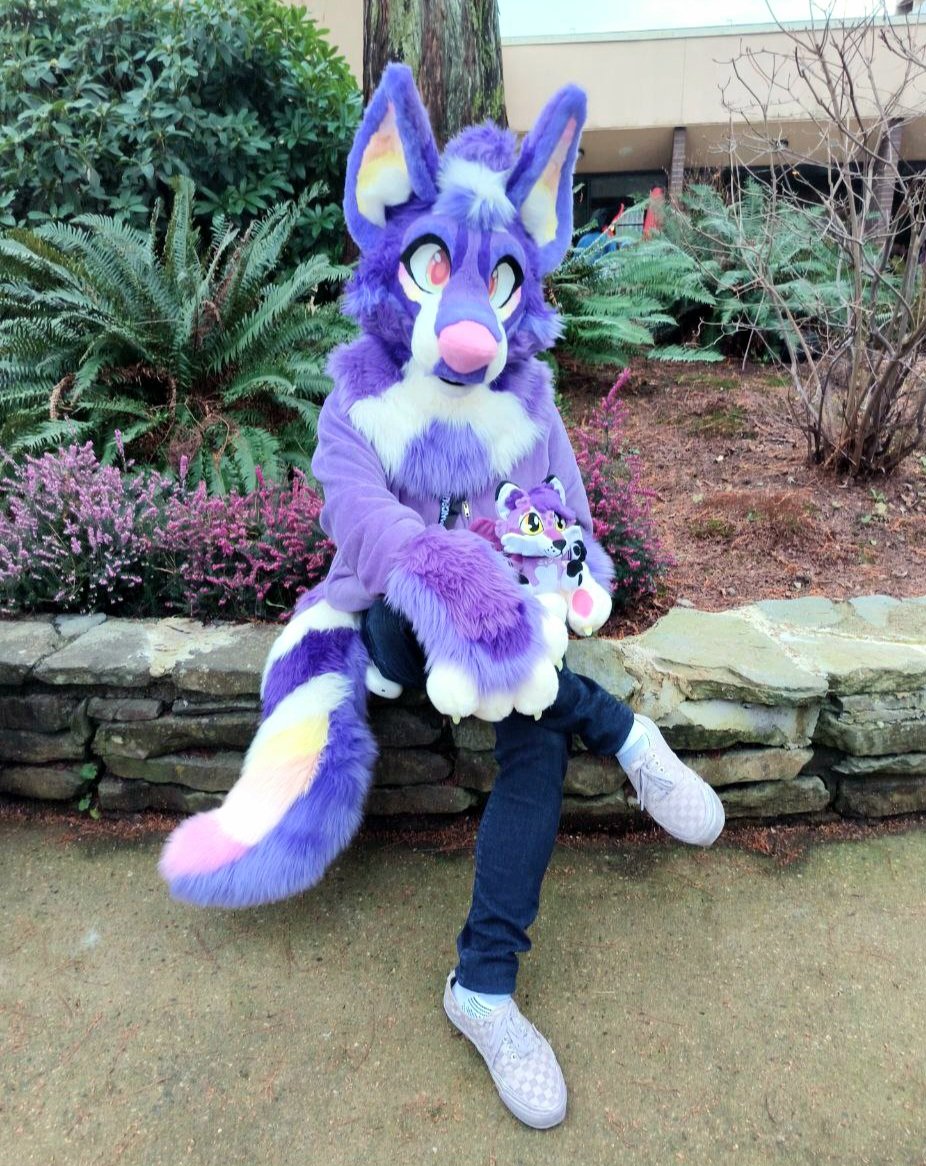Stolasdarling's tweet photo. 💜 New Fursuiter in Town! 💜
A wild Stolas has appeared! 
Try and catch a glimpse of this sly purple fox as he wanders around the concrete forests of Canada! 

Maker: @Eelowyn

#furry #furryfandom #fursuiter #purplefox #purplegang #vancoufur2026 #vancoufur https://t.co/3ioPlqzTSB