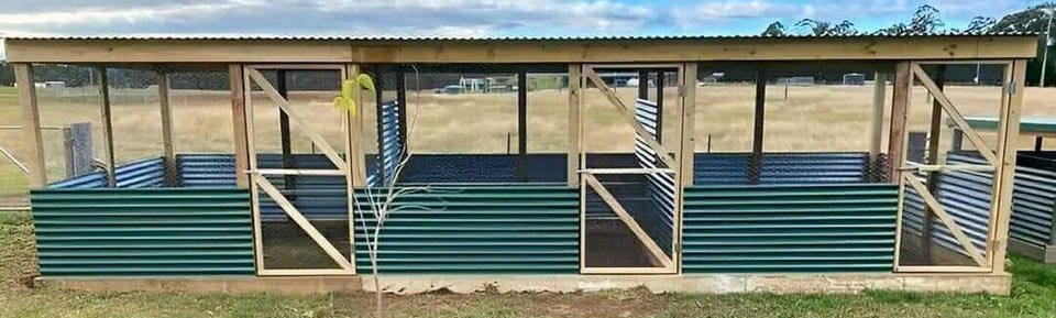 AgriShoot's tweet image. Are you a #chicken farmer? 
 Check out this simple and practical chicken housing structure designed to keep your chickens safe, comfortable, and #productive. 

📸: @SangwaSifa 

#ChickenFarming
