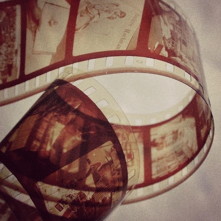 cat 𓃠 tweet media