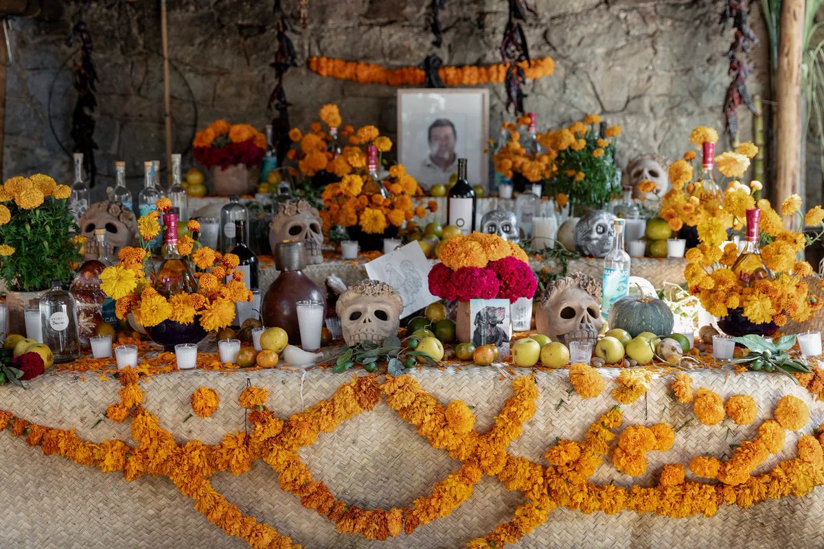 I believe the flower Sonic is giving Merlina here is a marigold, a flower heavily used on Día de los Muertos, a holiday meant to celebrate death as a natural part of life. Which is what Black Knight's message is about. This is so damn cool I love Sonic, man.