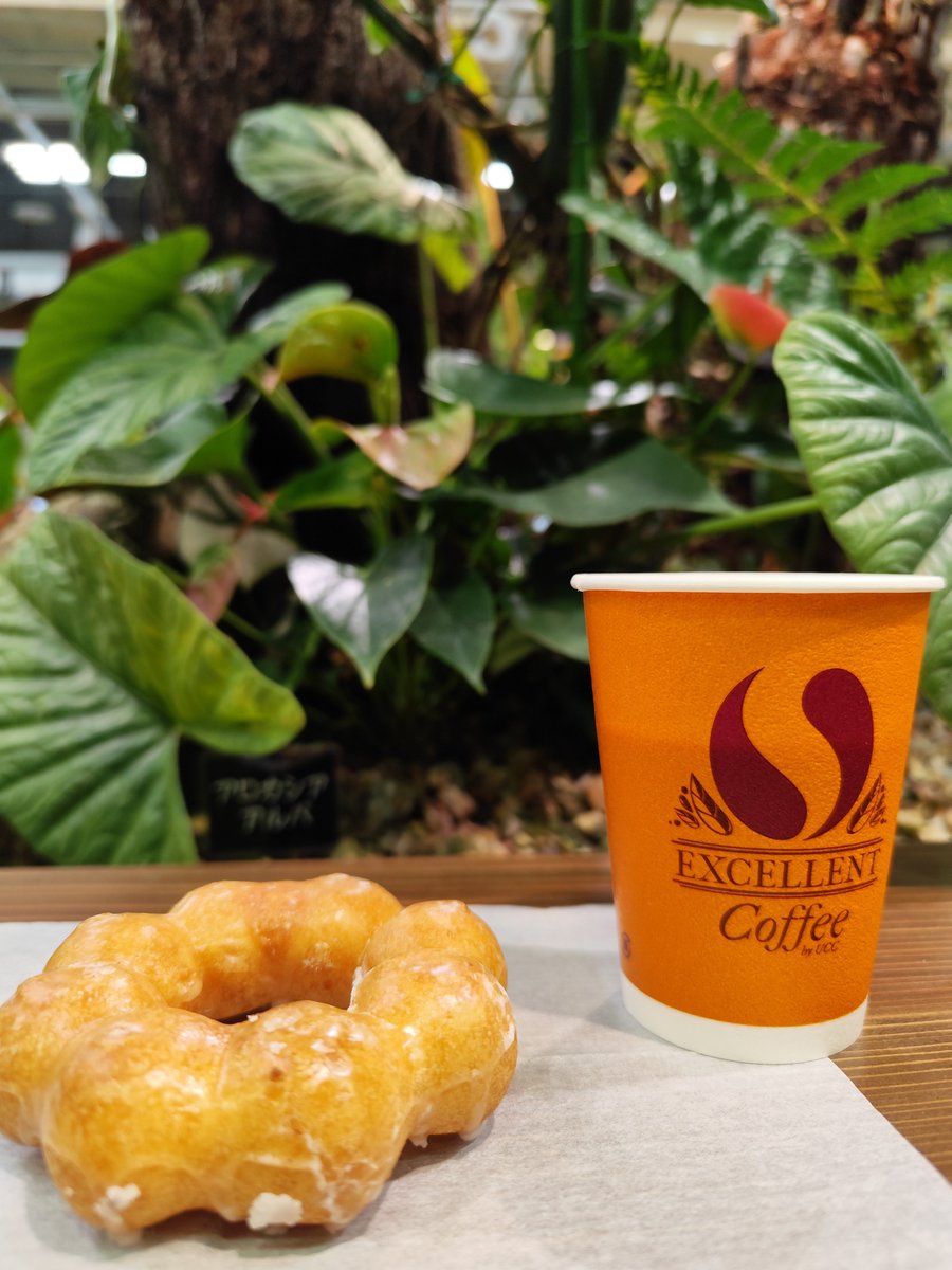 レーナ＠元素女子🕊️ tweet media