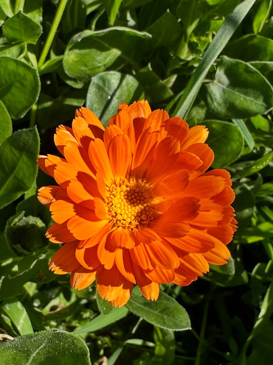 <a href="/CarlosOchoa_G2/">Carlos 2</a> <a href="/Reciclatecno/">♻️ @Reciclatecno🦎💻📱🖥️ YouTube°</a> <a href="/teamdinamicas/">Cami</a> <a href="/dreams_Bcn/">૮૨iઽƬiทα ⟭⟬ ⁷</a> <a href="/AmeliaVicencio/">♒🌷❤️𝐀𝐦𝐞𝐥𝐢𝐚𝐕𝐢𝐜𝐞𝐧𝐜𝐢𝐨❤️🌷♒️</a> <a href="/AntonioM646/">Prometeo</a> <a href="/MarcelaErcia/">🕉MARCE🐉⚖ #MarceTeAyuda🔮#JesúsCambióMiVida✝</a> <a href="/amazingine/">Amazingine</a> <a href="/icCvwOhC2svv6Di/">ユウジ🍥</a> <a href="/Reina_dream8/">ฺฺ桜井 麗奈*𝚁𝚎𝚒𝚗𝚊*🐱🐾🌸🌹</a> <a href="/papiko7890/">ぱぴこ❤</a> <a href="/ErciaQueen/">✝Reina Dragón👑🐉💗</a> <a href="/GinaJardines/">Cleopatra</a> <a href="/hoffmanpacheco/">@hoffmanpacheco</a> <a href="/MaverickCDMX/">Maverick</a> <a href="/yuzarian13/">𝚈𝚞𝚣𝚊𝚛𝚒𝚊𝚗 🤟</a> <a href="/Tinaomp/">TINA</a> <a href="/ranasilvia63/">Luna OM</a> <a href="/Jemaco40/">@Jemaco40</a> <a href="/Gooddlovee/">GOOD</a> <a href="/x4Eileen/">Eileen Bridget🌸</a> <a href="/nena_bovb51/">Nena</a> <a href="/Y6s8D8vmnCo394k/">☀️まっちゃん☀️ For you🤝</a> <a href="/EndaRet25/">🗽𝓔𝓷𝓭𝓪_𝓡𝓮𝓽🗽</a> <a href="/HalconaUFF/">♥️Elena Amelia M ♥️#𝔻𝕖𝕁𝕒𝕡𝕠𝕟𝔸𝕣𝕚𝕘𝕒𝕥𝕠🌸</a> <a href="/sungelin/">Sarı gelin</a> <a href="/VanderlPT13/">Vanderleia Dias🚩</a> <a href="/eduslv7/">Eduardo 🇧🇷🇧🇷🇺🇸</a> Good morning. Happy Thursday 🙏😊✨