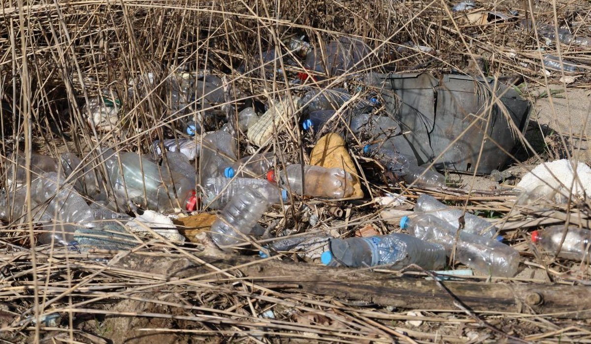 Meriç Albay tweet media