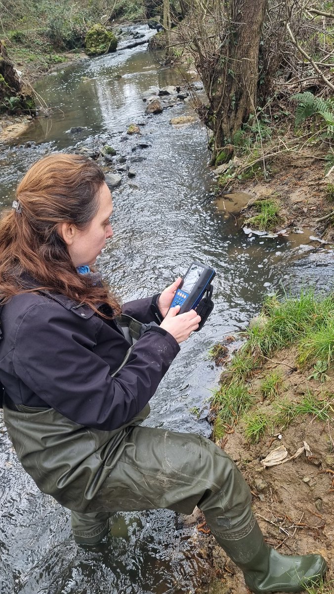 Meriç Albay tweet media