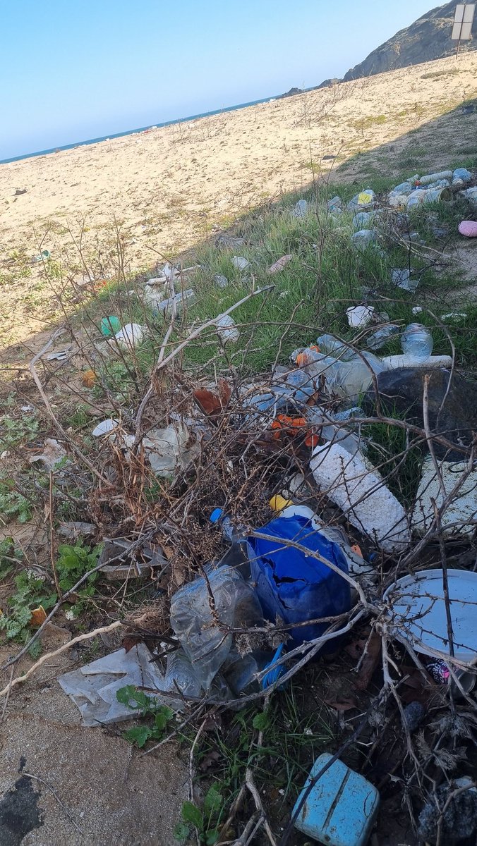 Meriç Albay tweet media