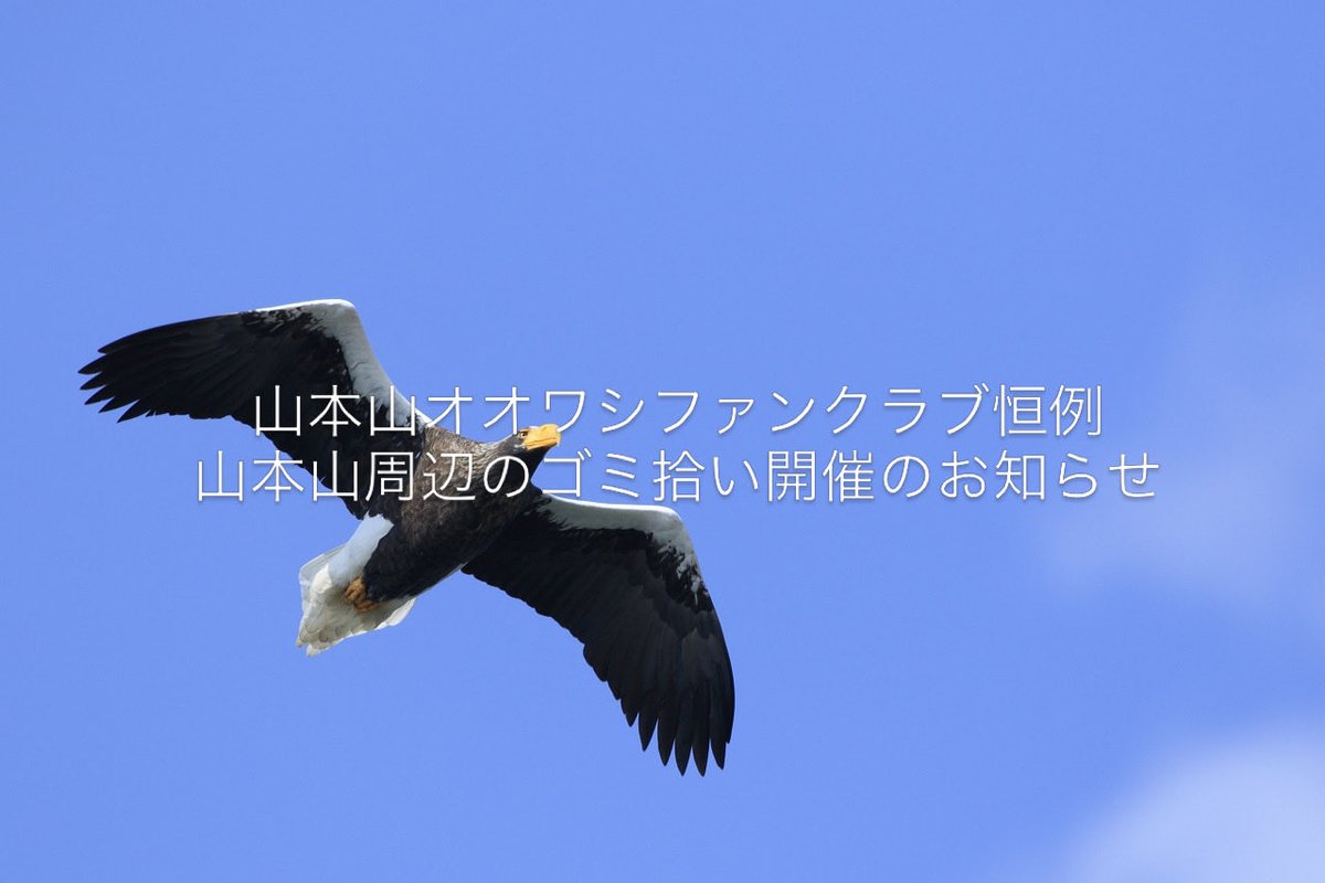 BoatChamp's tweet photo. 山本山オオワシファンクラブ恒例の山本山周辺のゴミ拾い開催のお知らせ
3/22 10:00〜
湖北野鳥センター駐車場集合
誰でも参加出来ます
軍手、火バサミなどお持ち頂くと助かります
事前申し込み不要
当日参加でお願いします https://t.co/yHy8qmZzu5