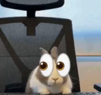 Eternity tweet media