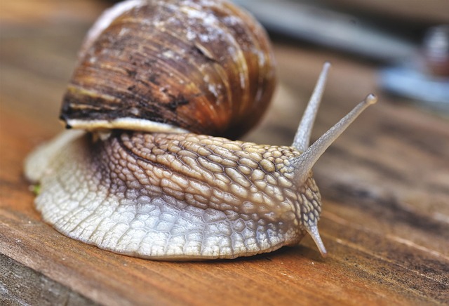 Lisa Her tweet media