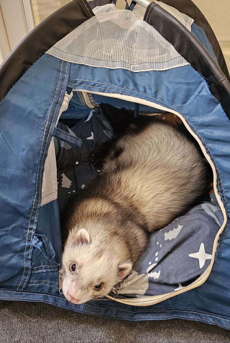 Pirate Software tweet media