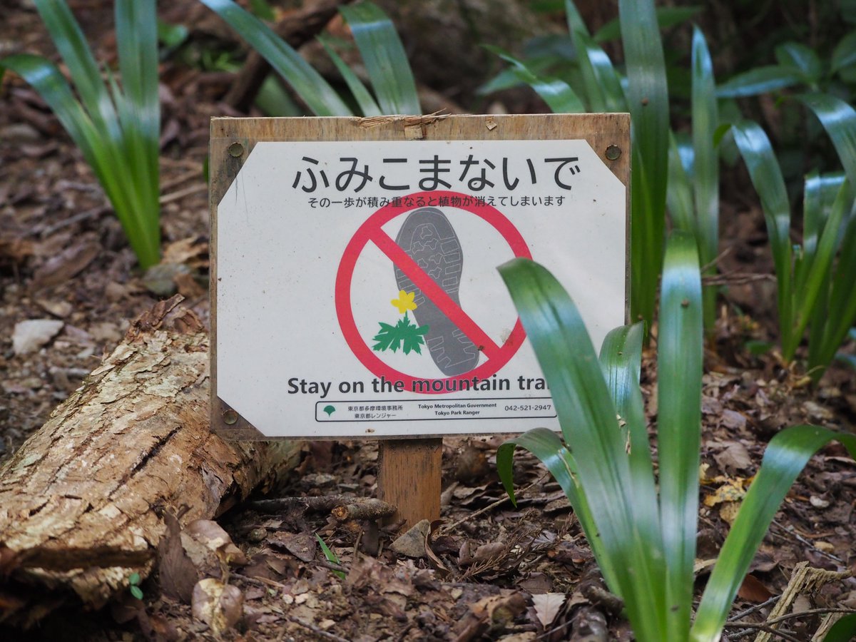 高尾ビジターセンター【公式】 tweet media