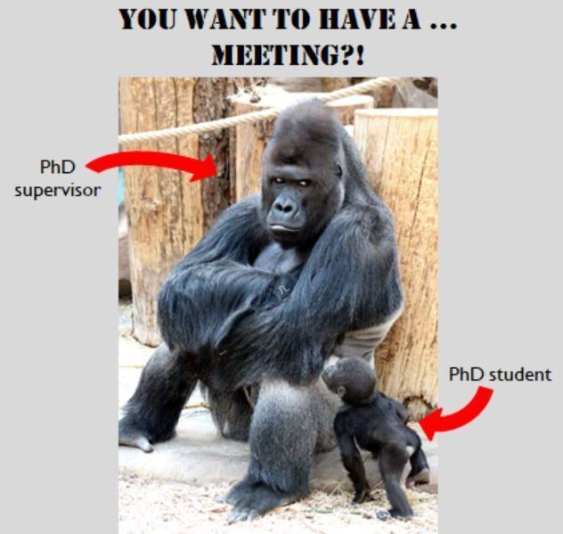 ithinkwellHugh's tweet image. You want to have a ....meeting?
Sometimes it can be a bit scary approaching your supervisor.
#PhDforum #PhDchat #gradschool #acwri
