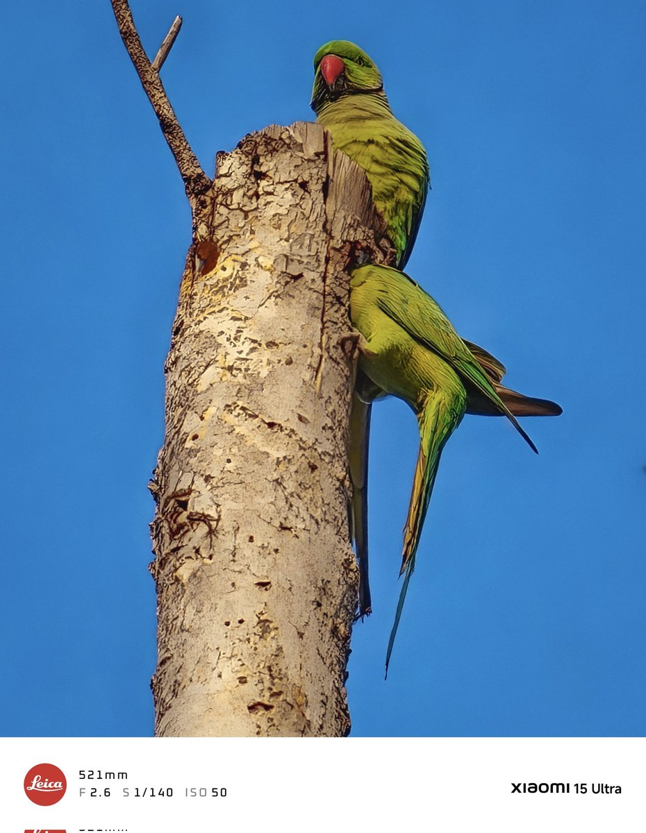 #XiaomiExplorer Partha Chatterjee for Xiaomi🇮🇳 tweet media