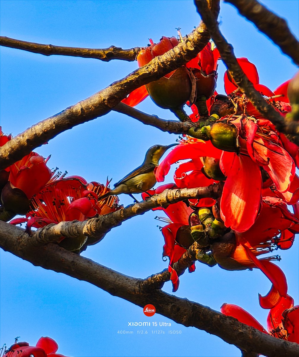 #XiaomiExplorer Partha Chatterjee for Xiaomi🇮🇳 tweet media