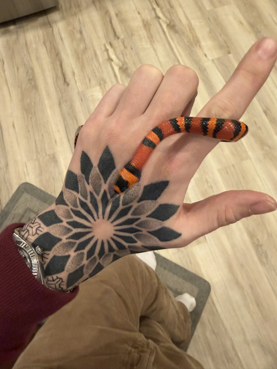 Alaska Guy tweet media