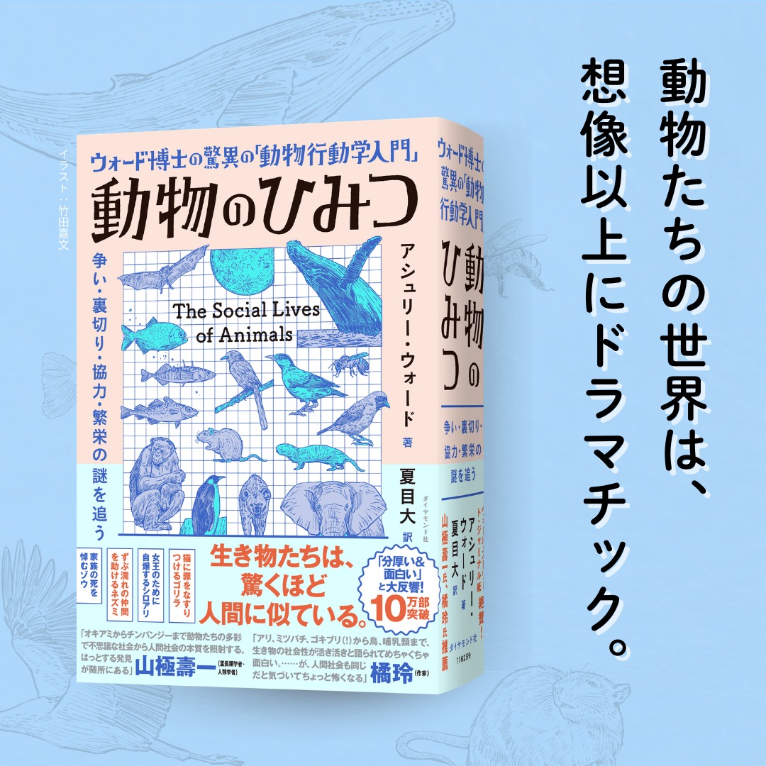 diamond_sns's tweet photo. 「動物好きが高じて700ページを超える本を作ってしまいました……」（担当編集）

見知らぬ他者を助けるネズミ、仲間と歌を教え合うクジラ、キスをして絆を確かめ合うワタリガラス。 動物たちの生きざまは、驚くほど人間に似ている。
明日誰かに話したくなる、動物の知られざる生態が詰まった一冊！