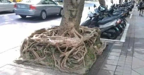 finally found the square root