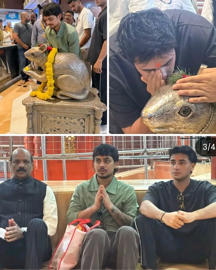 Vatsala Singh tweet media