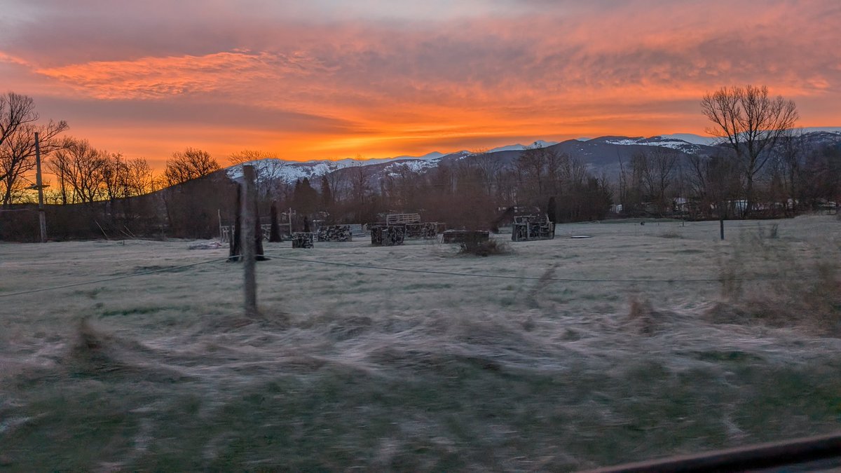 apartaments jmiquel tweet media