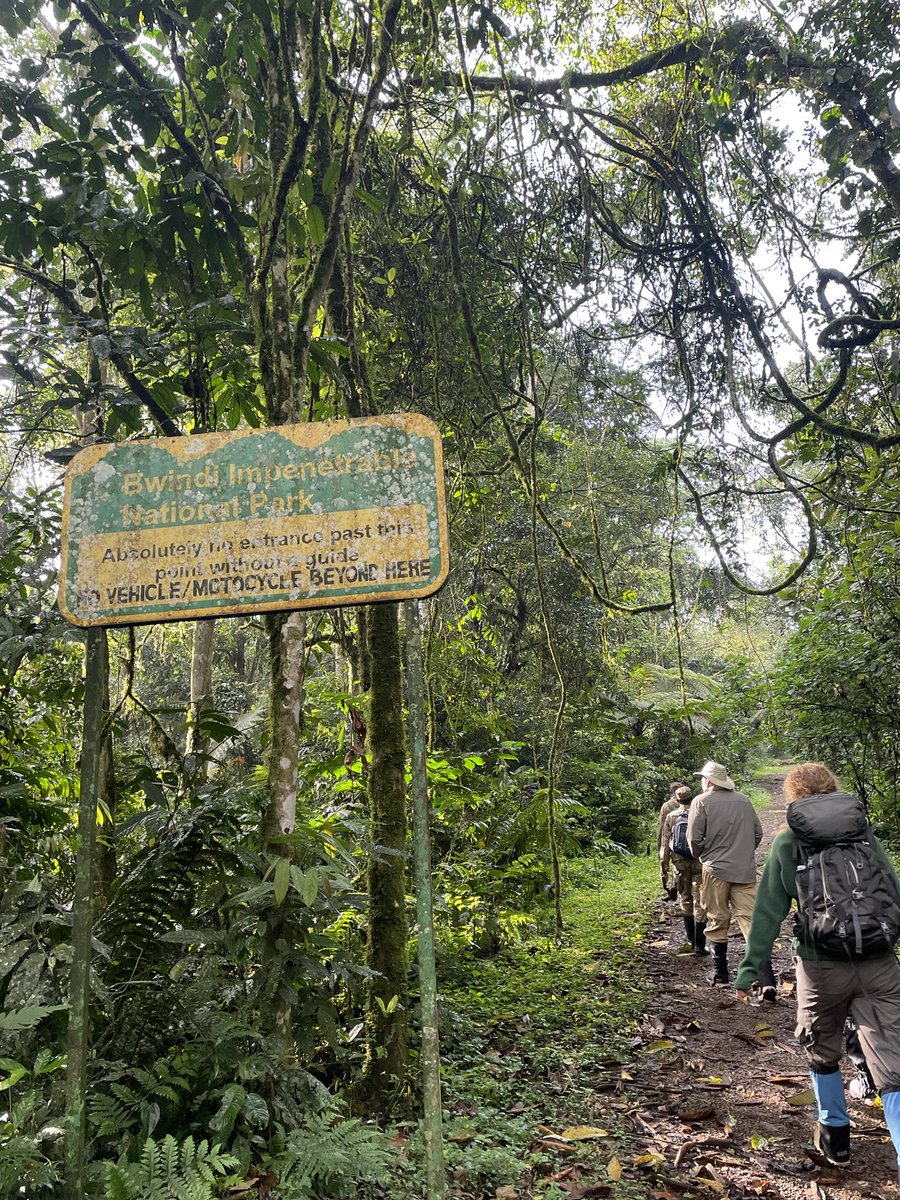 𝔾𝕖𝕣𝕒𝕝𝕕 𝕊𝕖𝕟𝕪𝕠𝕟𝕛𝕠 tweet media