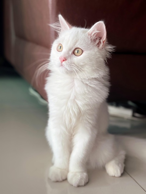 Kim Ramirez tweet media