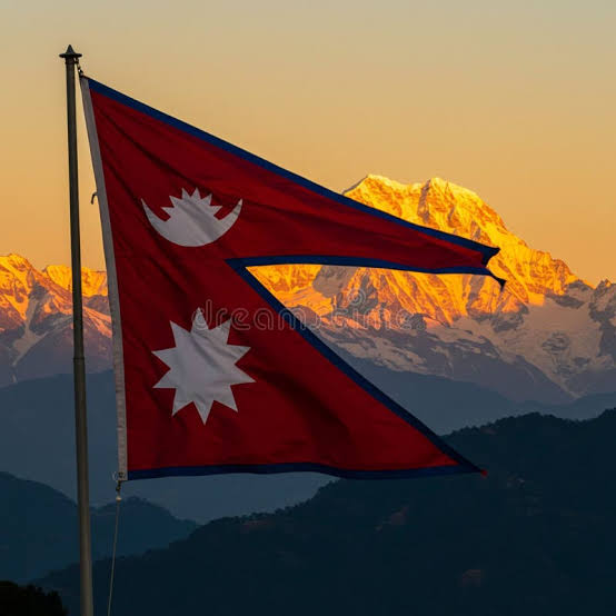 Coin Bureau tweet media