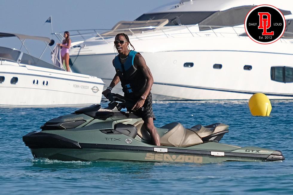 Wild Videos tweet media