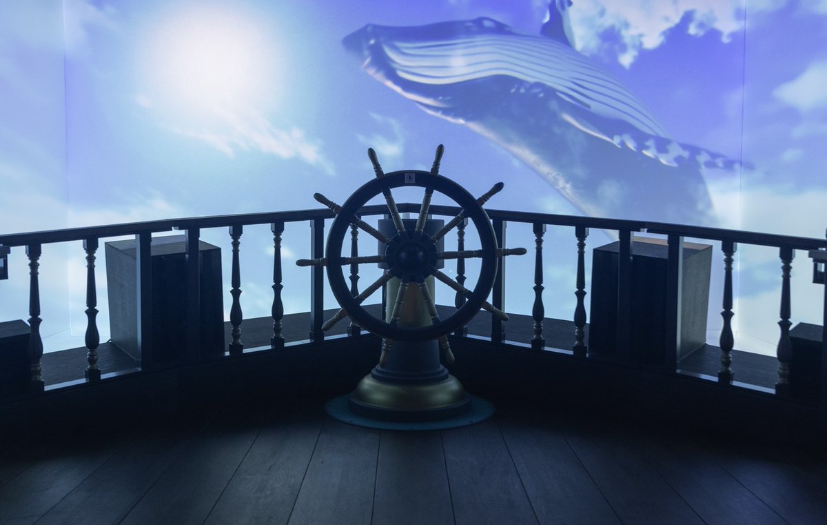 Mrs. GREEN APPLE『Wonder Museum』 tweet media