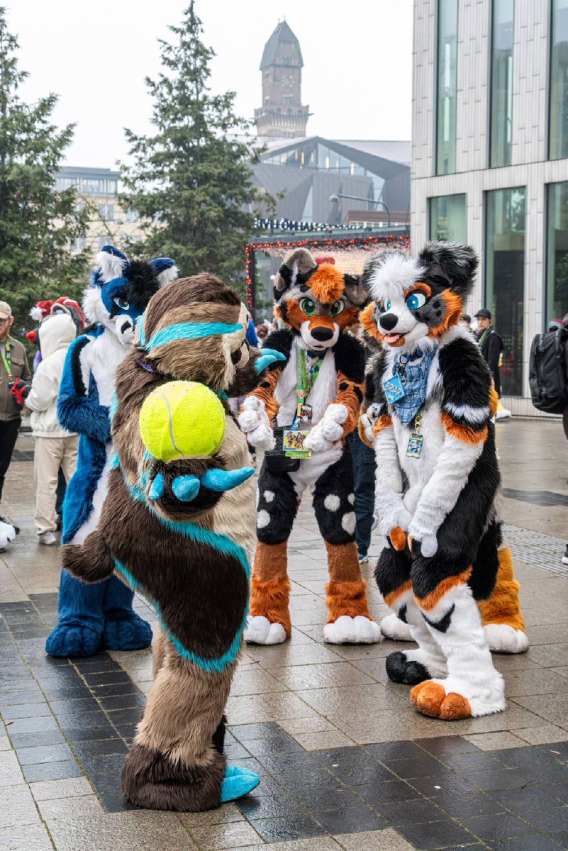 SmokeyAussie Dog 🐾 TFF FWA tweet media