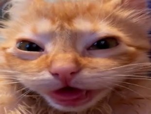 Mylo🌹 tweet media