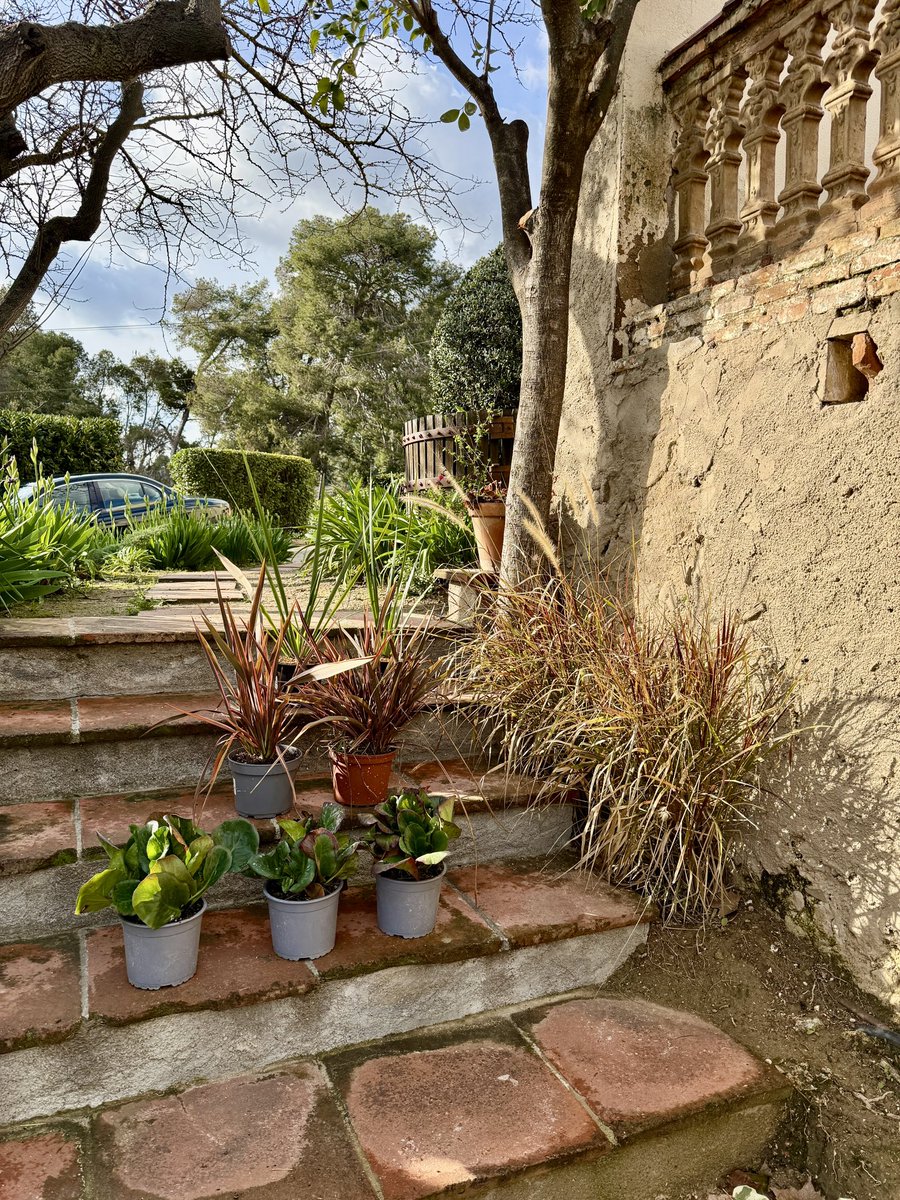 Pep Espelt tweet media