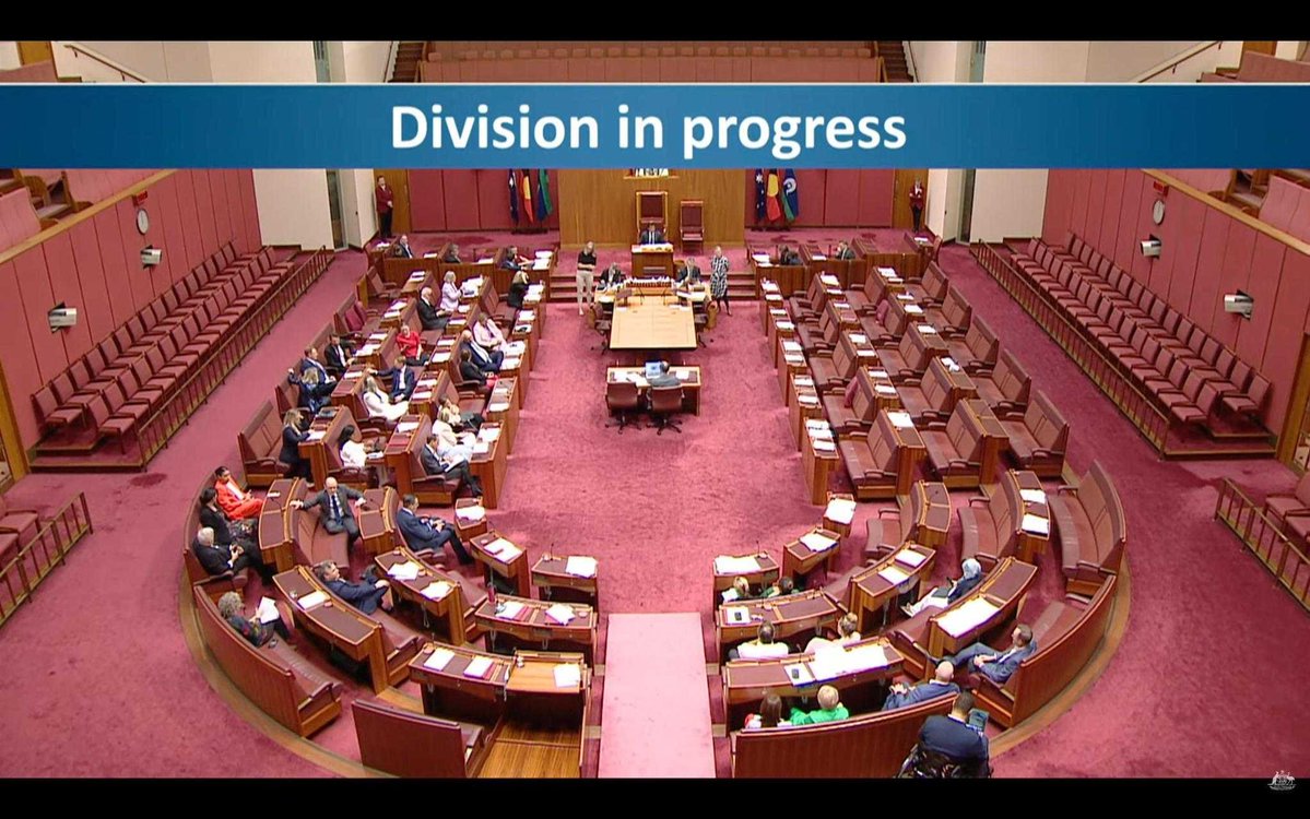 David Shoebridge tweet media