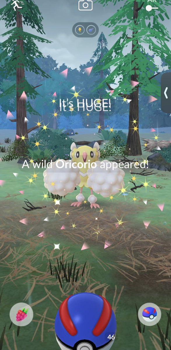 Inaba🇨🇦@5/28~日本 tweet media