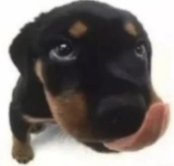 Liara ₊˚.⋆☾ tweet media