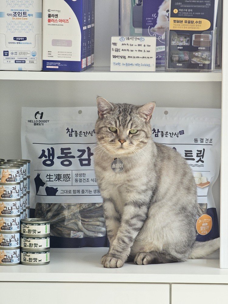 우리동네 일잘하는 고양이. 어느날은 카운터 직원 어느날은 제품홍보모델~~
그냥저냥 묘한맛