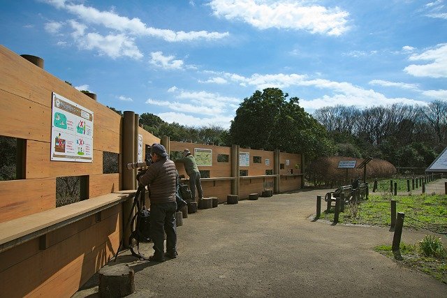 【#砧公園バードサンクチュアリ の池について】
ご要望いただいていた渇水対策の改修方針がまとまりました。 池の底を止水し井戸水を活用することで、渇水期でも水が保てるようにします。  
野鳥ボランティアの皆さまと相談しながら、丁寧に進めていきます！
tokyo-park.or.jp/park/kinuta/in…