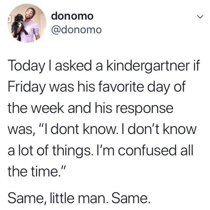 Wolf of X tweet media