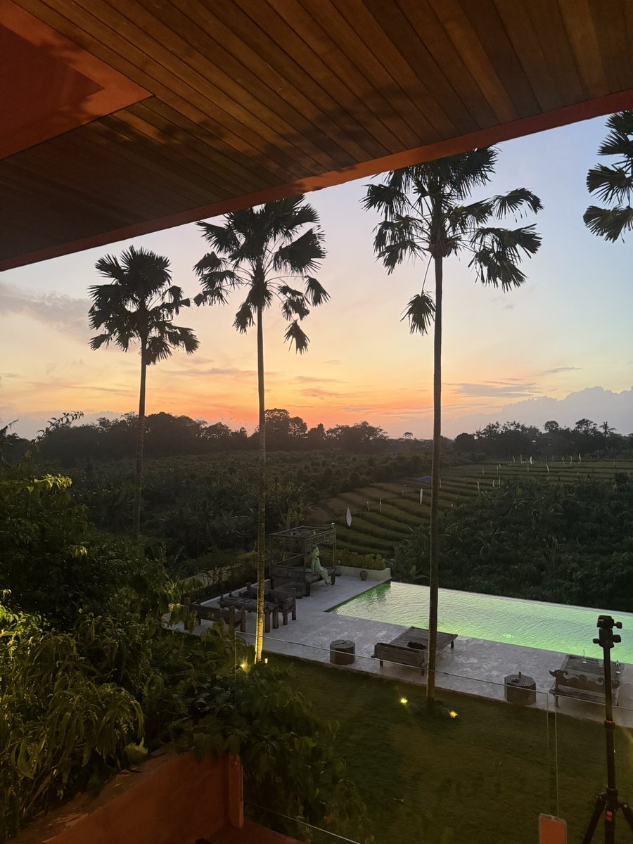 Loopierr tweet media