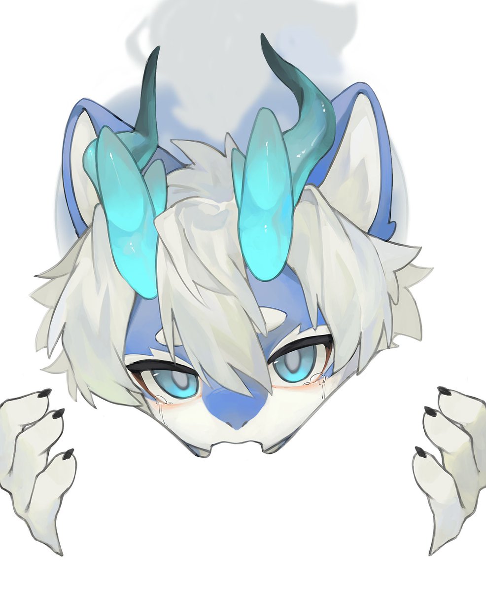 冷吃兔♪ tweet media