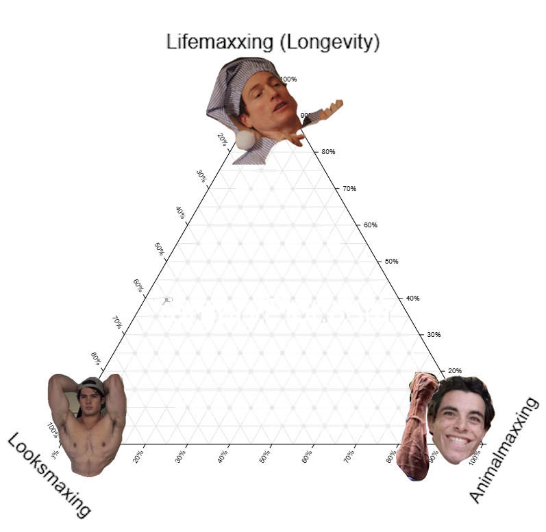 rube goldberg MAID machine tweet media