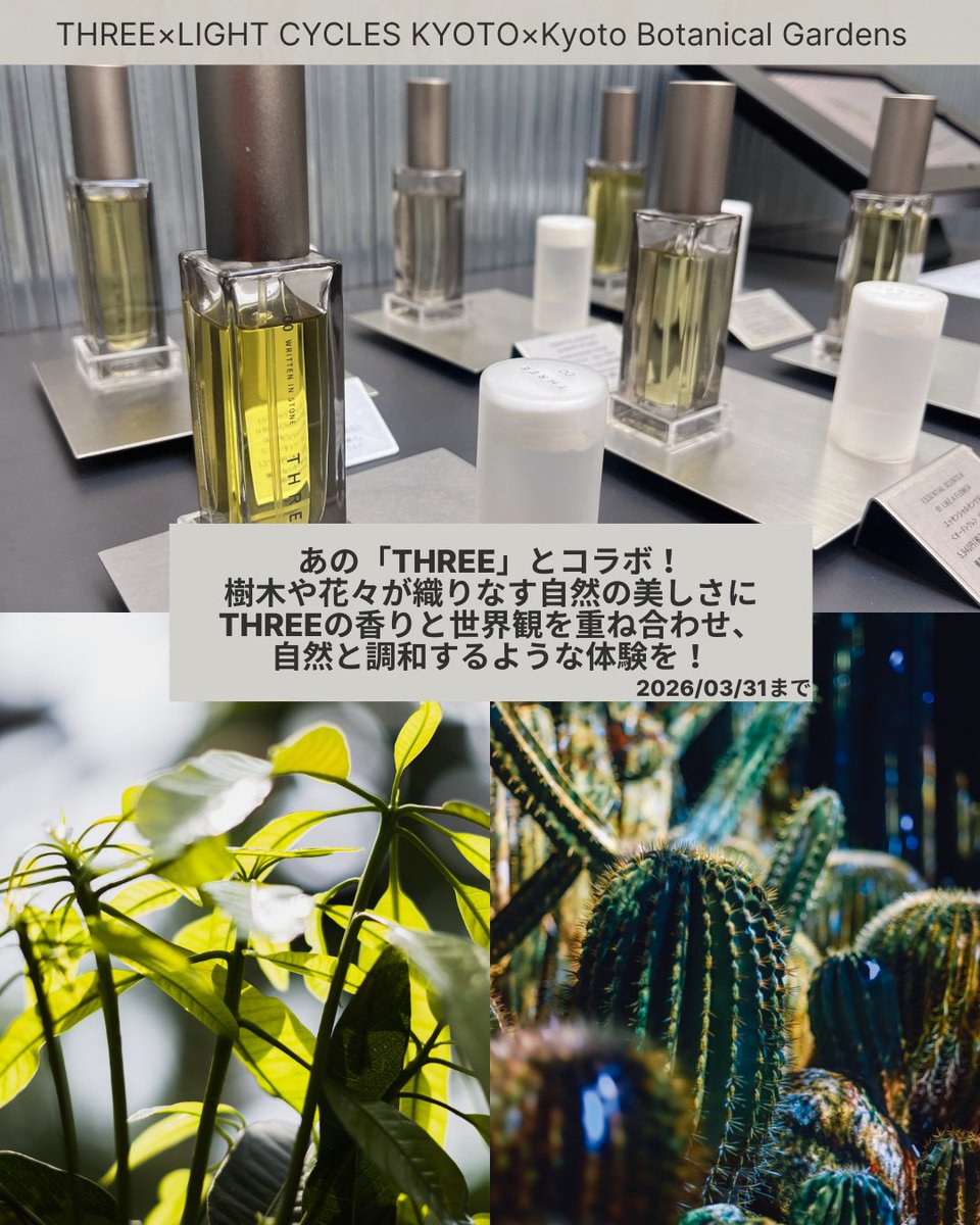 京都府広報課 tweet media