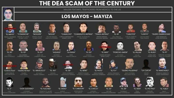 Contacto Revista tweet media