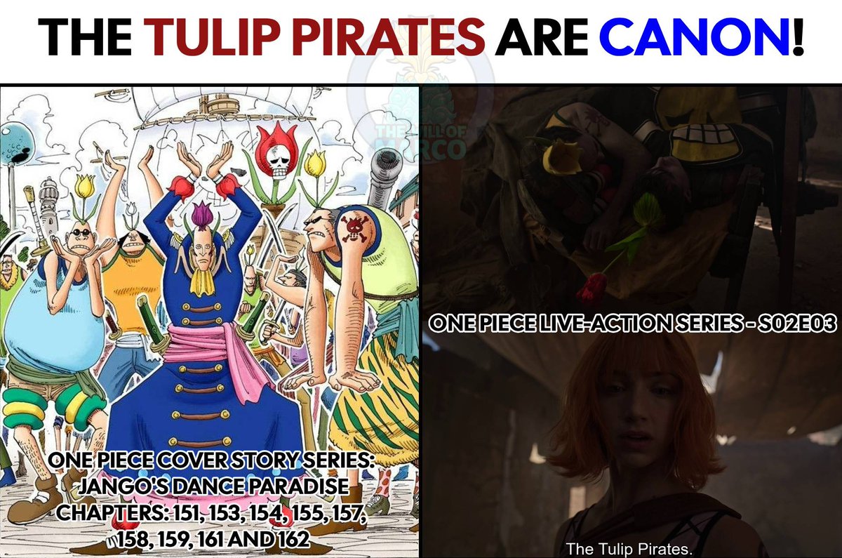 The Will of Marco (マルコの意志) tweet media