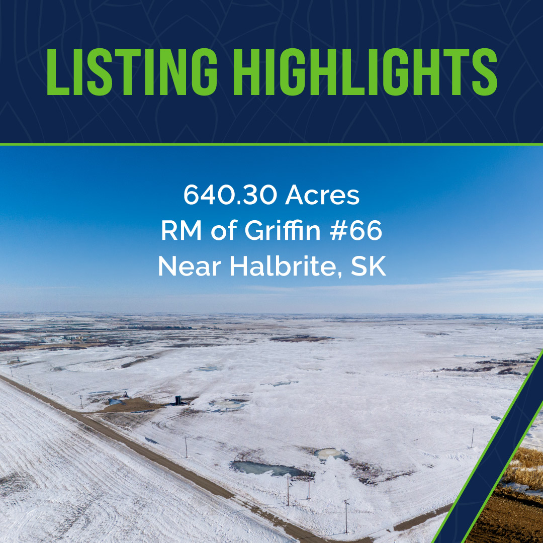 Sheppard Realty tweet media