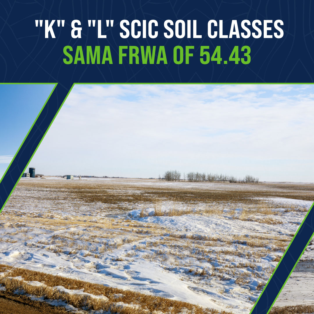 Sheppard Realty tweet media