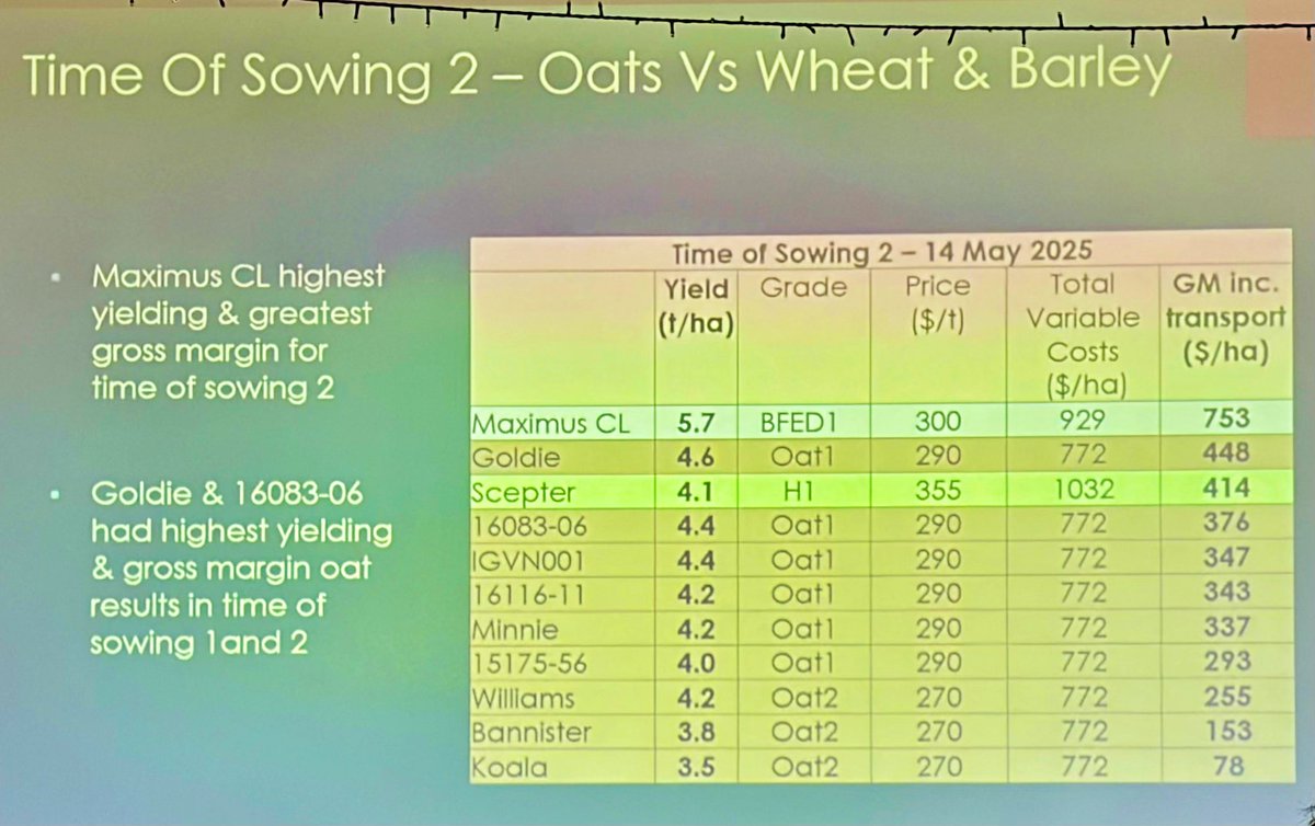 Georgia Trainor tweet media