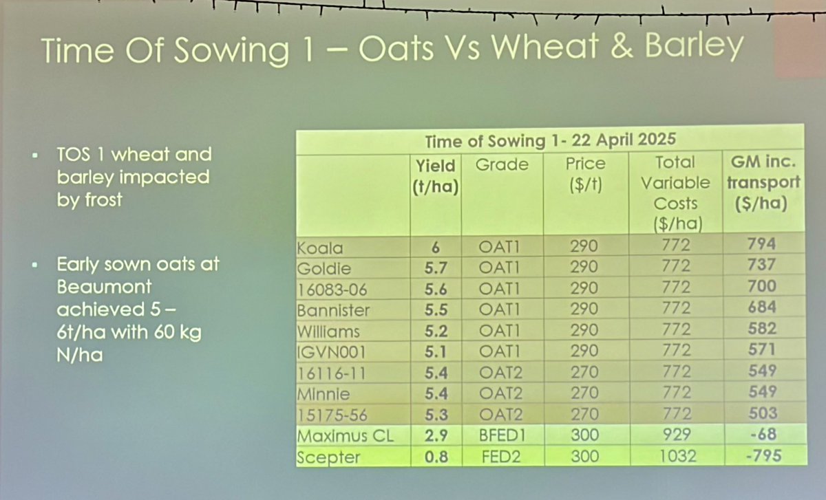 Georgia Trainor tweet media