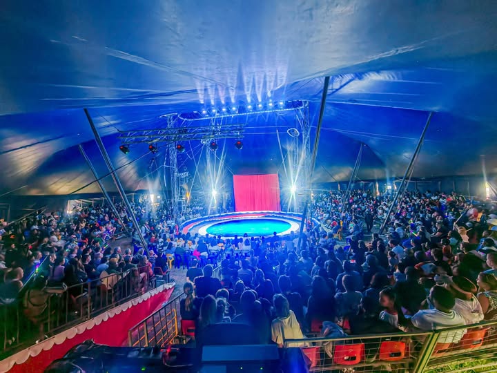 mclarenscircus's tweet photo. Don't miss #McLarenCircus next Popular 2026 Show in #Hartenbos Tonight🎪😂🦁🐯🐴🐩🤡🎩🥳😅😍❤️
#MosselBay #WesternCape Coming Soon to #Riversdale #CapeTown at #Brackenfell &amp; #Paarl
#BudgetBozza #marchcheckin #NedbankCup Saka #WinWithBlu
Buy Tickets Online: https://t.co/Y5XPaa1RcI https://t.co/DgCquP3fW6